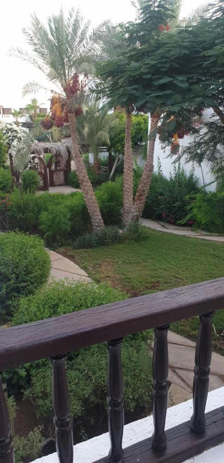Delta Shahrazad شقة شرم الشيخ